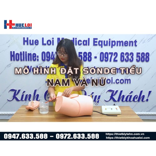 Mô hình đặt sonde tiểu và thụt tháo nam nữ